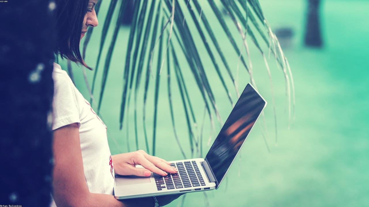 Como Funcionam os Detectores de Plágio: O Que Turnitin, CopySpider e Ferramentas Anti-Plágio Realmente Analisam